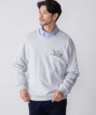 SHIPS MEN/*【SHIPS別注】RUSSELL ATHLETIC: カレッジ/モチーフ プリント スウェット/505622537