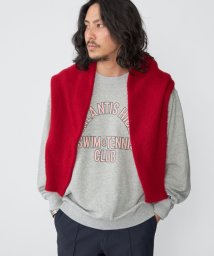 SHIPS MEN(シップス　メン)/*【SHIPS別注】RUSSELL ATHLETIC: カレッジ/モチーフ プリント スウェット/グレー