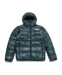 THE NORTH FACE/ALPINE NUPTSE HOODIE (アルパインヌプシフーディ)/505618637