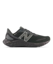 new balance/Fresh Foam Arishi v4 GTX/505619614