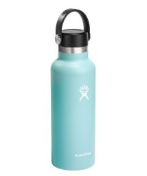 HydroFlask/HYDRATION 18OZ STANDARD MOUTH/505620220