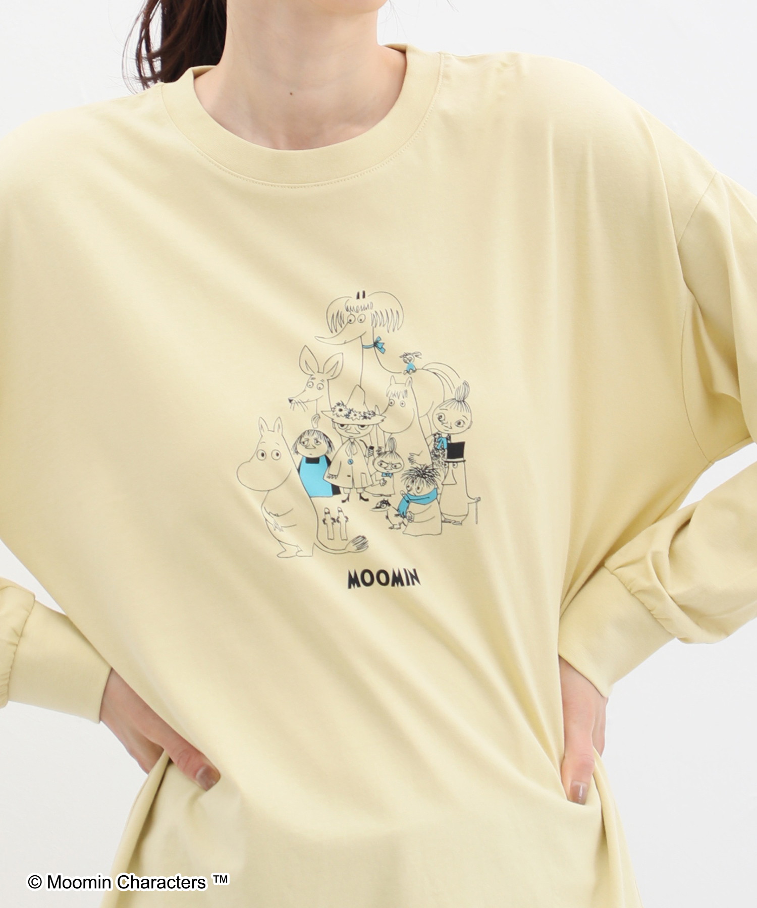 お値下げ）ムーミンのTシャツ - Tシャツ