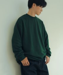 ITEMS URBANRESEARCH(アイテムズアーバンリサーチ（メンズ）)/裏毛 カラースウェット プルオーバー/GRN