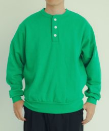 ITEMS URBANRESEARCH(アイテムズアーバンリサーチ（メンズ）)/Healthknit　Classic Sweat Henley/GRN