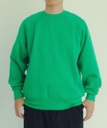 ITEMS URBANRESEARCH(アイテムズアーバンリサーチ（メンズ）)/Healthknit　Classic Sweat Crew/GRN