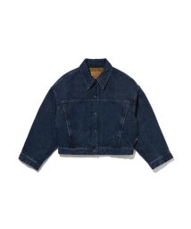 Levi's/RED TAB PREMIUM リバーシブル バブル トラッカージャケット NOTHING TO HIDE/505629352