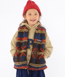 SHIPS KIDS(シップスキッズ)/【SHIPS KIDS別注】WILD THINGS:100～140cm / リバーシブル ベスト/その他