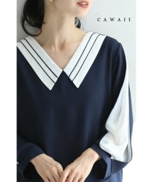 CAWAII/スリット袖から覗くシアーベールの上品ブラウストップス/505570909