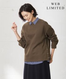 J.PRESS LADIES(J．プレス　レディス)/【WEB限定】ダンボールニットジャージー カットソー/カーキ系