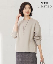 J.PRESS LADIES（LARGE SIZE）/【WEB限定】ダンボールニットジャージー カットソー/505632725