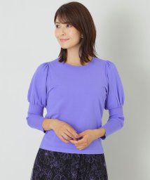 TO BE CHIC(トゥービーシック)/【サイトリニューアル記念】【WEB限定カラー】レーヨンポリエステル　パフスリーブニット/パープル