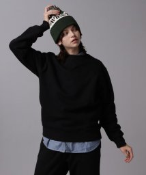 AVIREX(AVIREX)/《DAILY/デイリー》CREW NECK L/S SWEAT / クルーネック ロングスリーブ スウェット / AVIREX / アヴィレ/ブラック