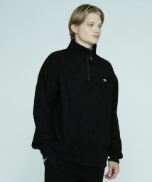 MANASTASH(マナスタッシュ)/MANASTASH/マナスタッシュ/LODGE HALF ZIP SWEAT/ロッジハーフジップ/ブラック