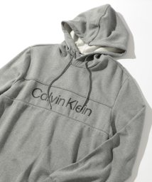 Calvin Klein(カルバンクライン)/【Calvin Klein / カルバンクライン】フロントロゴ スウェット フーディ パーカー 40FC430/グレー