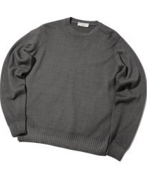 Men's Bigi(メンズビギ)/【FILIPPO DE LAURENTIIS】10Gクルーネックニット/グレー