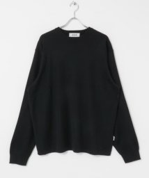 URBAN RESEARCH(アーバンリサーチ)/A.D.A.N　KNIT LONG－SLEEVE T－SHIRTS/BLACK