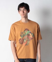 LEVI’S OUTLET/LEVI'S(R) SKATE グラフィック Tシャツ ブラウン MULTICOLOR/505624197