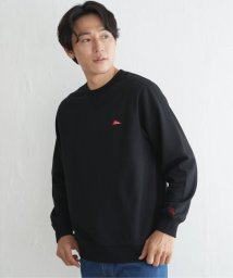 ikka(イッカ)/URBAN NATURE LIFE アーバンネイチャーライフ スウェットプルオーバー/ブラック