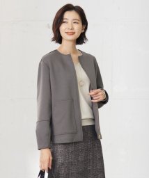 J.PRESS LADIES（LARGE SIZE）(J．プレス　レディス（大きいサイズ）)/【洗える】ダンボールジャージー ブルゾン/グレー系