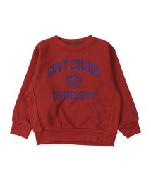 GROOVY COLORS(グルービーカラーズ)/裏毛 UNIVERSITY スウェット/レッド