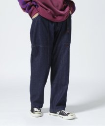 BEAVER/GRAMICCI/グラミチ　DENIM GADGET PANT デニムガジェットパンツ/505651723