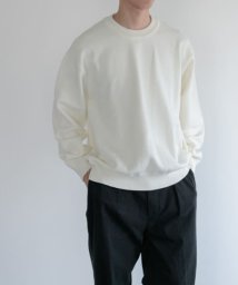 URBAN RESEARCH DOORS(アーバンリサーチドアーズ)/『WEB/一部店舗限定』FORK&SPOON　Winona Knits プルオーバー/ECRU