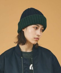 ABAHOUSE(ABAHOUSE)/【RUBEN/ルーベン】RIVERSIBLE RIB WATCH CAP /リバ/グリーン