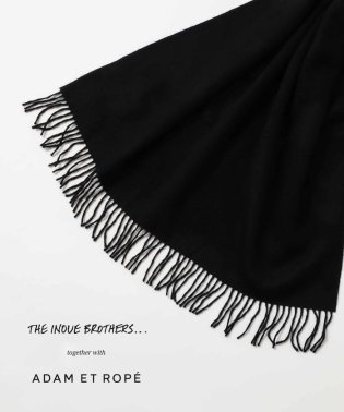 ADAM ET ROPE'/【THE INOUE BROTHERS together with ADAM ET ROPE'】大判ストール / UNISEX/505656658