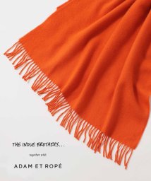 ADAM ET ROPE'/【THE INOUE BROTHERS together with ADAM ET ROPE'】大判ストール / UNISEX/505656658