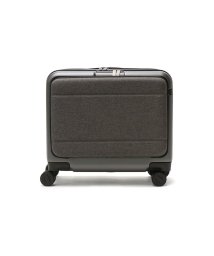 ACEGENE(エースジーン)/日本正規品 エースジーン キャリーバック スーツケース 機内持ち込み ace.GENE フロントオープン 小さめ 28L コンビクルーザー TR 05151/グレー