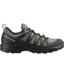 SALOMON/X BRAZE GTX (エックス ブレイズ ゴアテックス)/505671759