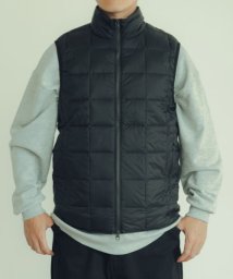 ITEMS URBANRESEARCH(アイテムズアーバンリサーチ（メンズ）)/TAION　HI NECK W－ZIP DOWN VEST/BLK