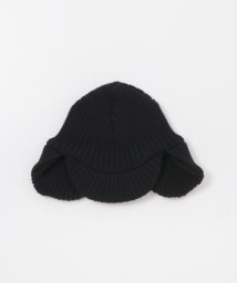 URBAN RESEARCH DOORS/KIJIMA TAKAYUKI　WOOL KNIT EAR CAP/505689434