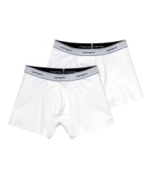 SENSE OF PLACE by URBAN RESEARCH/carhartt　COTTON TRUNKS/505689758