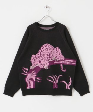 SENSE OF PLACE by URBAN RESEARCH/Penneys　panther raglan sweater/505689762
