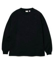 go slow caravan MENS SELECT BRAND/グッドウェア 袖リブ ポケット付き L/S BIG TEE/505676604