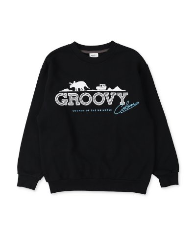 裏毛 GROOVY COLORS スウェット