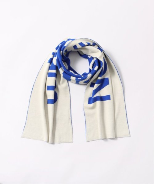 JOURNAL STANDARD(ジャーナルスタンダード)/【NEW AMSTERDAM】SURFASSOCIATION Name scarf/ブルー