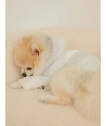 GELATO PIQUE CAT＆DOG/【CAT&DOG】【販路限定商品】ジェラート3ボーダーフーディ/505708198