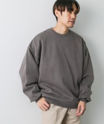 URBAN RESEARCH DOORS(アーバンリサーチドアーズ)/ピグメントダイ裏起毛スウェット/BROWN