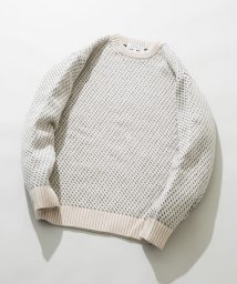 URBAN RESEARCH ROSSO(URBAN　RESEARCH　ROSSO（MEN）)/『XLサイズあり』バーズアイ柄クルーネックニット/IVORY