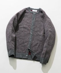 URBAN RESEARCH ROSSO(URBAN　RESEARCH　ROSSO（MEN）)/『XLサイズあり』バーズアイ柄クルーニットカーディガン/GRAY