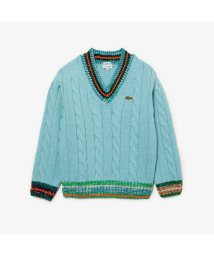 LACOSTE UNISEX/デコラティブリブニットチルデンセーター/505709055