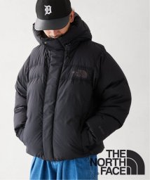 JOURNAL STANDARD relume Men's(ジャーナルスタンダード　レリューム　メンズ)/【THE NORTH FACE / ザ ノースフェイス】Alteration Baffs Jacket/ブラック