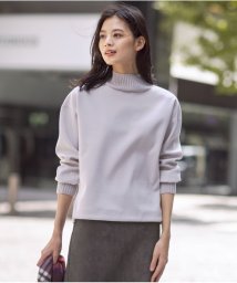 J.PRESS LADIES（LARGE SIZE）(J．プレス　レディス（大きいサイズ）)/ニードルパンチ ハイネック カットソー/ベージュ系