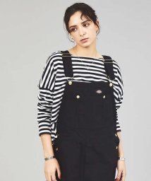 ABAHOUSE(ABAHOUSE)/【Dickies/ディッキーズ】    OVERALL オーバーオール/ブラック