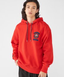 TOMMY HILFIGER/MOUNTAIN CAMO HOODY/505705473