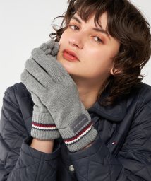 TOMMY HILFIGER/コーポレートニットグローブ/505705466