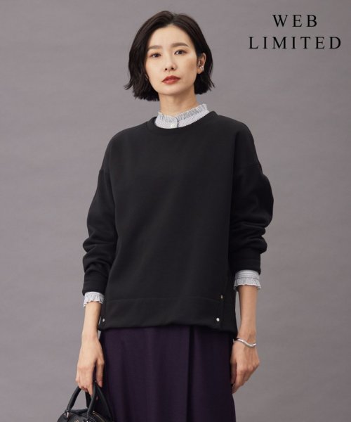 J.PRESS LADIES（LARGE SIZE）(J．プレス　レディス（大きいサイズ）)/【WEB限定カラーあり】ボアジャージー カットソー/ブラック系