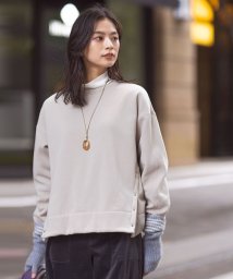 J.PRESS LADIES（LARGE SIZE）(J．プレス　レディス（大きいサイズ）)/【WEB限定カラーあり】ボアジャージー カットソー/ベージュ系